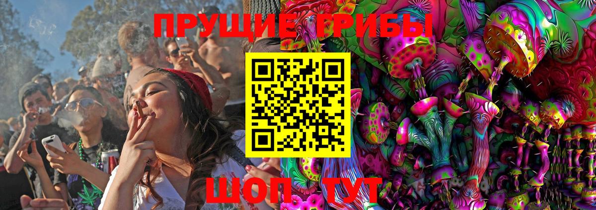 Тула  Галлюциногенные грибы Psilocybe  Вход с VPN 